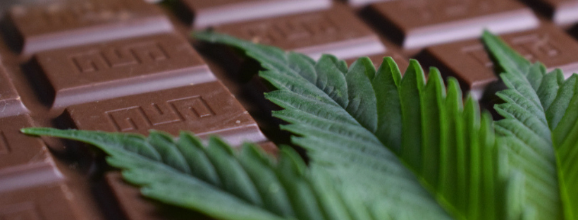 Where To Buy Marijuana Chocolate