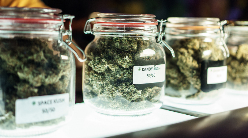 10 Popular West Coast Weed Strains | West Coast Cannabis