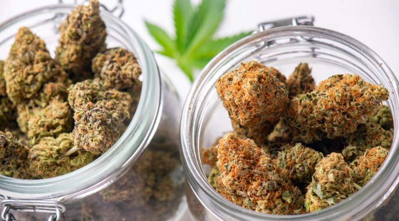 20 High-THC Strains You Should Know About