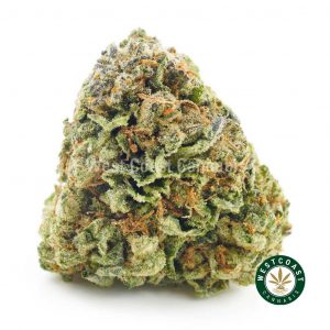 Buy Cannabis King Kong at Wccannabis Online Shop