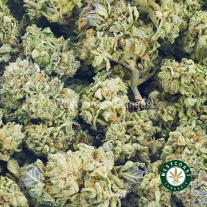 Buy Cannabis King Kong at Wccannabis Online Shop