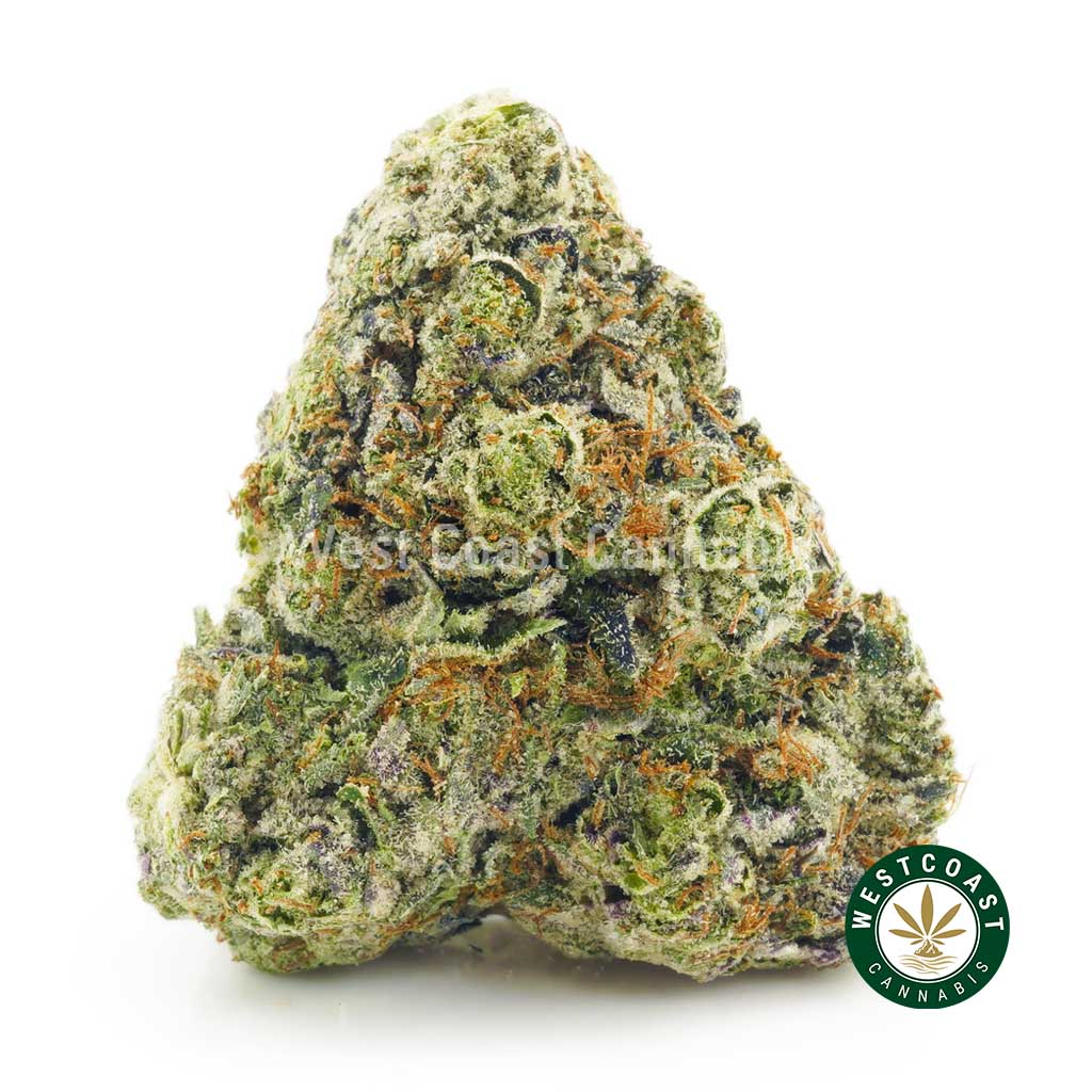 Blueberry Kush bud for sale from online dispensary west coast cannabis. buy online weeds. best online dispensary canada. mail order marijuana.