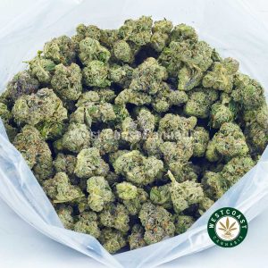 Bag of Blueberry Kush weed online from west coast cannabis dispensary. weed online canada. order cannabis online. buy weed online.