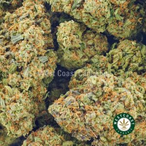 Buy Cannabis Jack Herer at Wccannabis Online Shop
