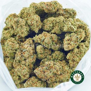 Buy Cannabis Jack Herer at Wccannabis Online Shop