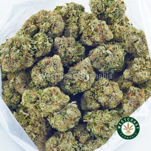 weed online dutch treat strain from west coast cannabis canada. buy weed online canada. mail order marijuana. mail order weed canada.