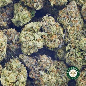 Photo of Sour Diesel cannabis for sale online. Mail order marijuana online dispensary to buy weed.