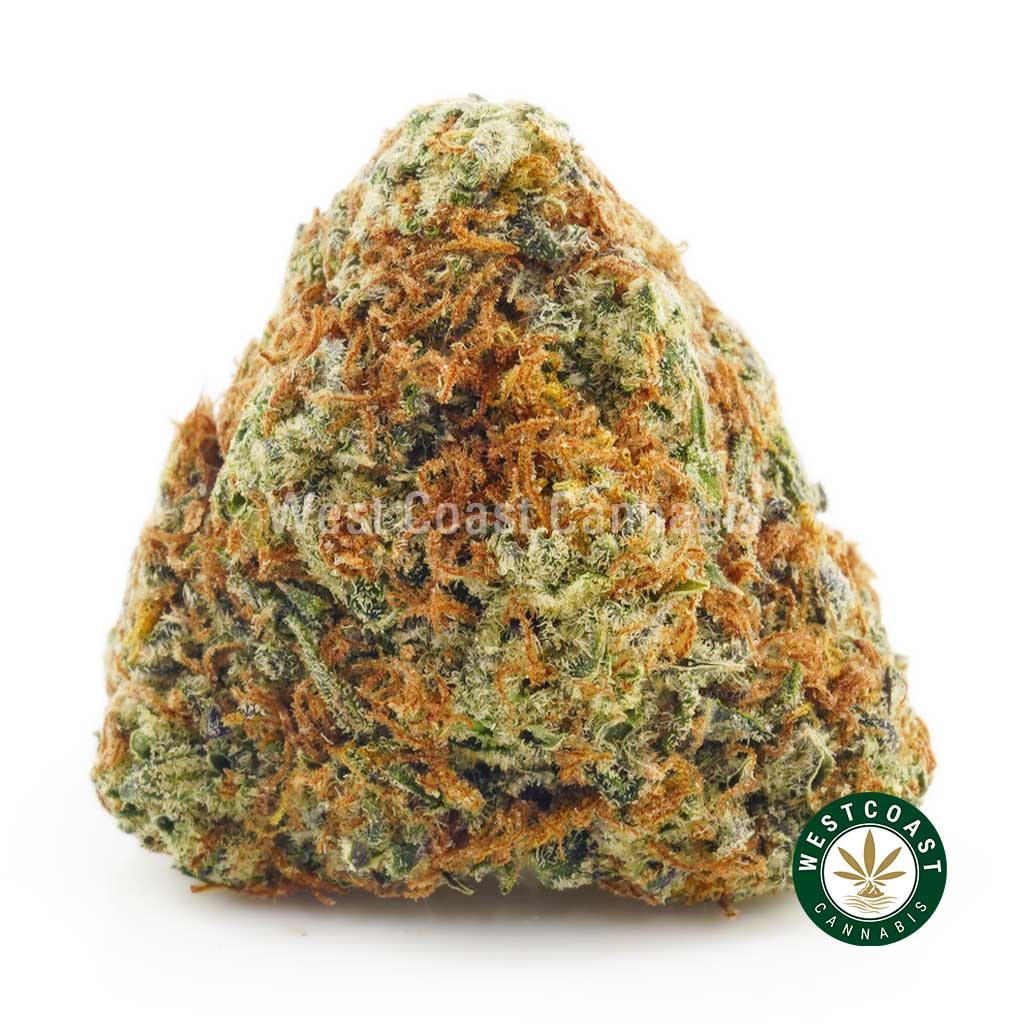 Order weed online chocolope strain at the best weed shop online. order cannabis online.
