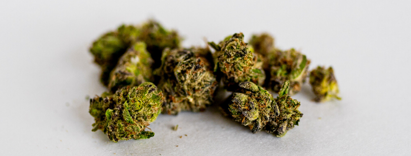 What Is An Indica Strain