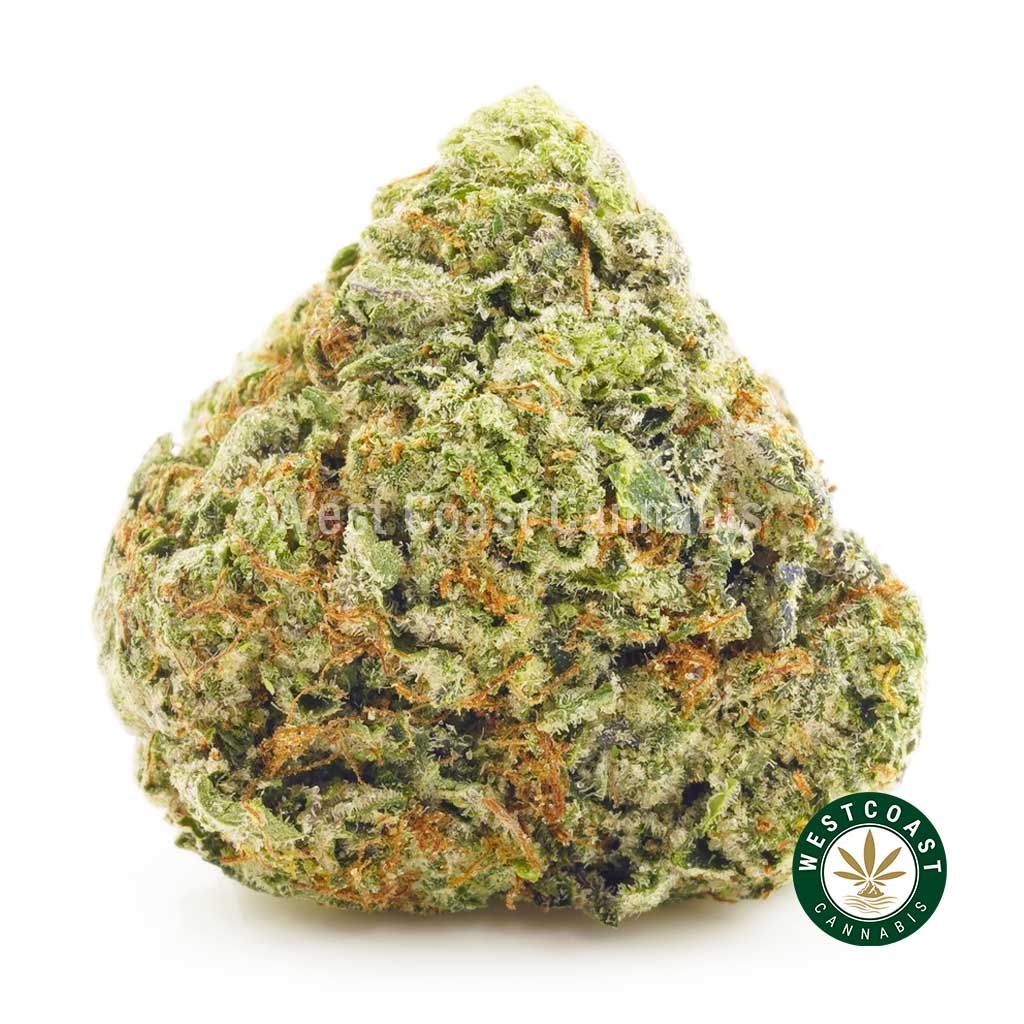 photo of Pink Rockstar strain cannabis popcorn. Order weed online dispensary mail order marijuana BC.
