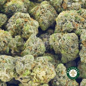 Order weed online pink rockstar strain cannabis popcorn. Canada's best mail order marijuana online dispensary to buy weed.