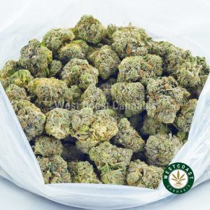 Buy Pink Rockstar strain from mail order marijuana online dispensary west coast cannabis canada.