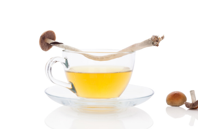 Here's How to Make Delicious Magic Mushroom Tea