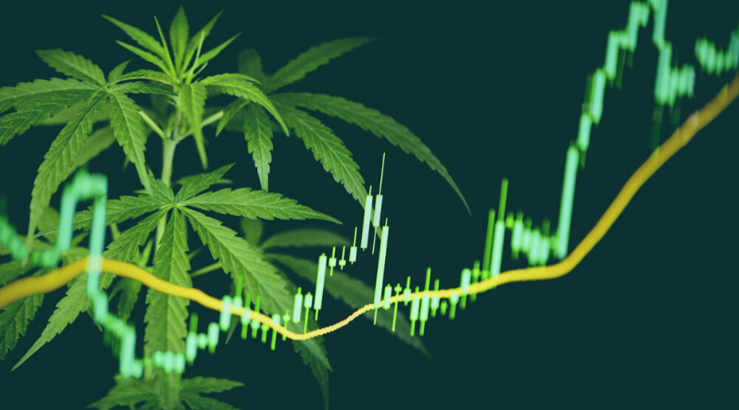 Top Marijuana Stocks on the NASDAQ