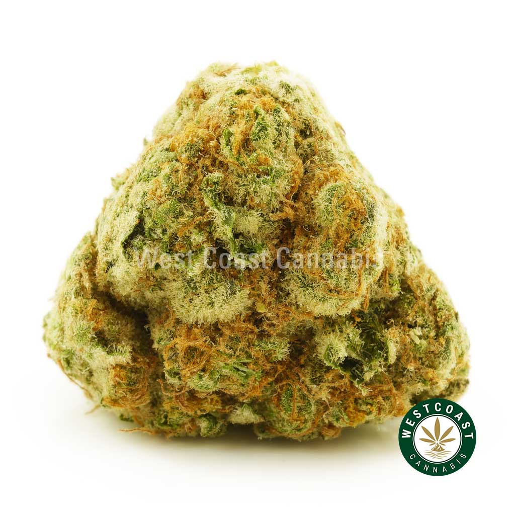 Buy Meat Breath Strain from best online dispensary in canada West Coast Cannabis. Buy Weed Online.