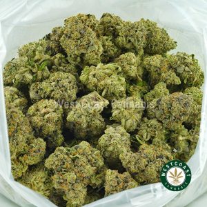 Buy Cannabis Platinum Bubba Kush at Wccannabis Online Shop