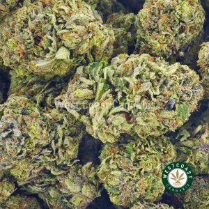 Buying weed online walter white strain from online dispensary west coast cannabis. order weed online. mail order weed. online weed dispensary. buy weed online.