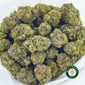 Buy weed walter white strain from online weed dispensary and mail order marijuana weed shop west coast cannabis. buy weed online.