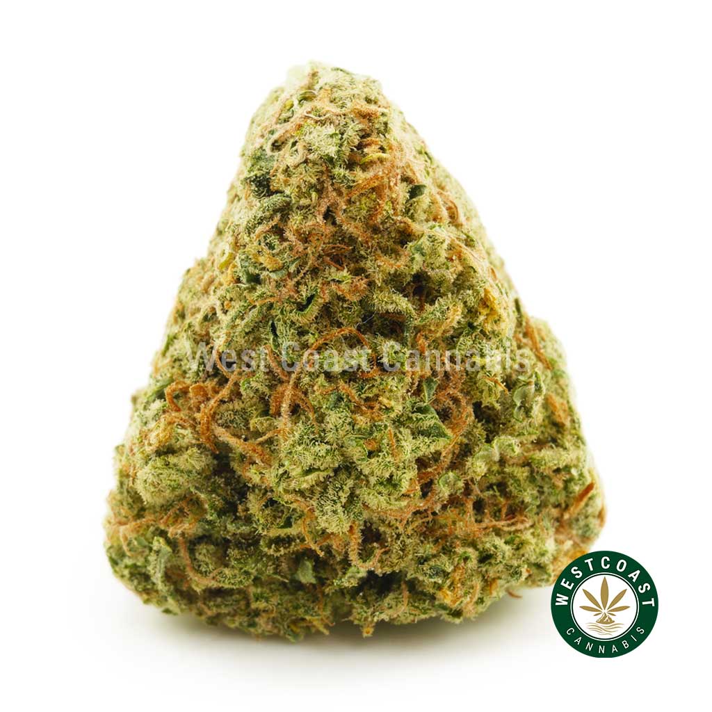 product photo of Mandarin Cookies mail order marijuana weed for sale in canada. Buy marijuana strains online like astro pink weed, blueberry kush pot, and super lemon haze weed. death bubba marijuana strain & cherry pie cannabis strain for sale.