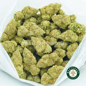 Buy weed online Sherbert Cookies strain from west coast cannabis. order weed online. mail order weed. online weed dispensary. buy weed online.