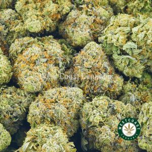 Image of Rockstar Kush weed to buy online in canada. Best online dispensary canada west coast cannabis BC bud. order weed online.