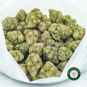 buy weed online Rockstar Kush for sale from west coast cannabis online dispensary canada. Purchase weed online. Cannabis canada buy weeds online.