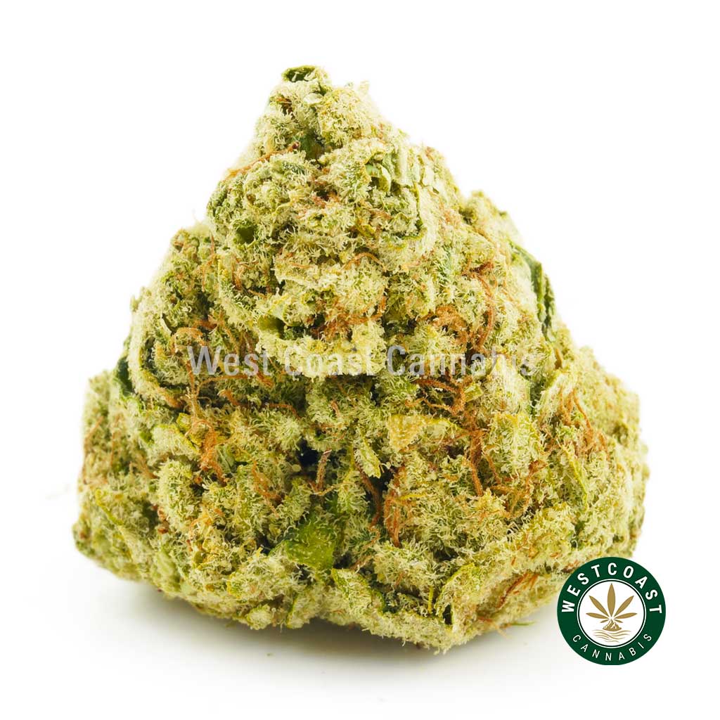 photo of raspberry kush from west coast cannabis BC online dispensary canada to buy weed online. buy online weeds.