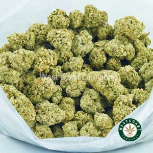 buy weed online raspberry kush pot for sale from west coast cannabis online dispensary canada. Purchase weed online. Cannabis canada buy weeds online.