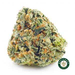Buy Cannabis Obama Kush at Wccannabis Online Shop