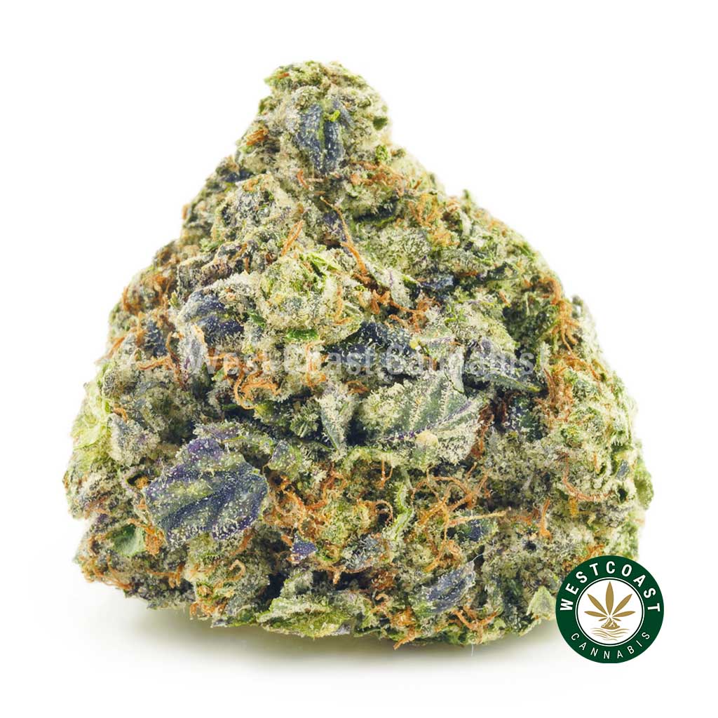 photo of pink bubba strain bud for sale. Buy weed at online dispensary west coast cannabis in BC.
