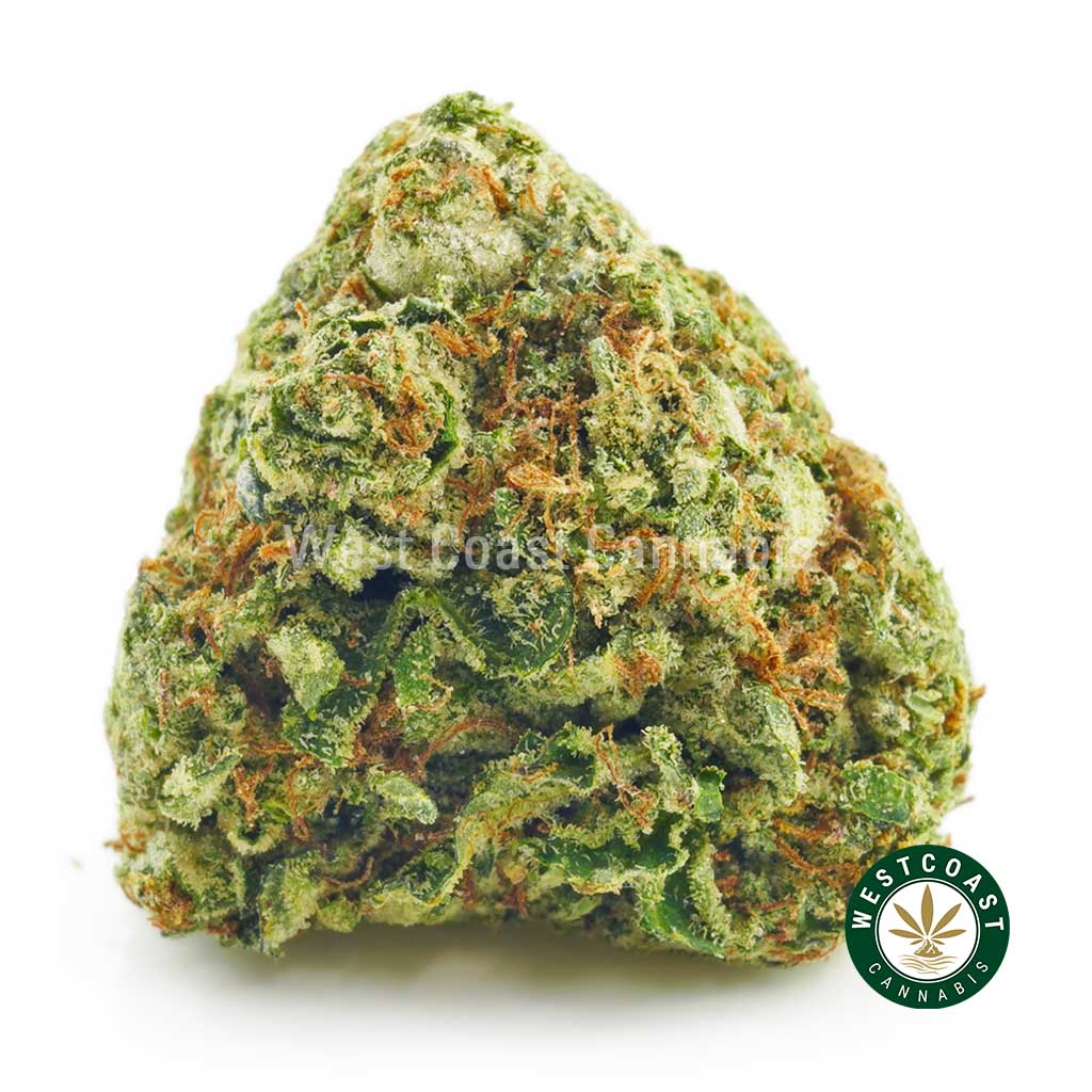 Buy weed online northern lights cannabis from top mail order marijuana online dispensary in Canada.