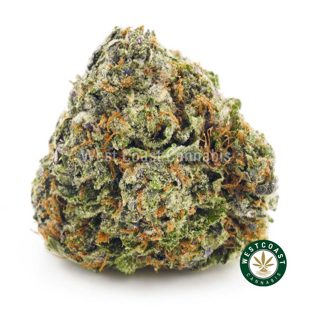 Blue Rhino nug. buy weed. order cannabis online in canada from mail order marijuana dispensary west coast cannabis.