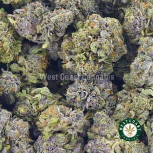 Blue Rhino product photo buy weed online in canada. Buy online weeds from top online dispensary for cannabis canada.
