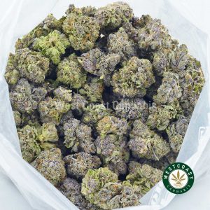 bag of Blue Rhino weed from online dispensary west coast cannabis. buying weed online. order weed canada. weed shop online.