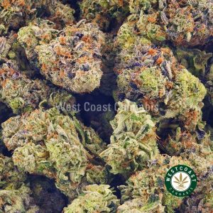 Buy Cannabis Pink Diesel at Wccannabis Online Shop