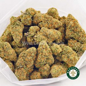 Buy weed citrique strain at the top mail order marijuana online weed dispensary West Coast Cannabis.