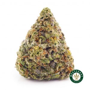 Buy Cannabis White Berry at Wccannabis Online Shop