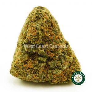 Buy Cannabis Girl Scout Cookies at Wccannabis Online Shop