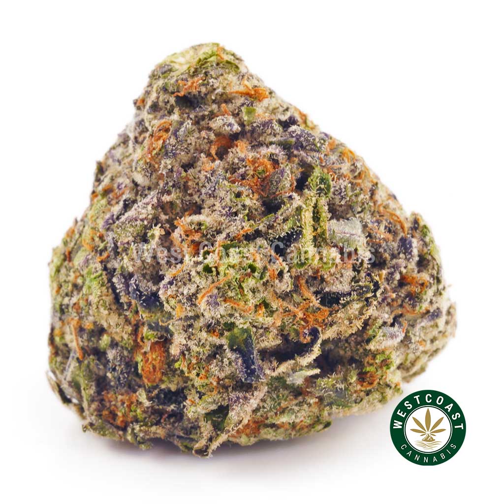 buy Gorilla Bomb strain weed online in Canada at West Coast Cannabis. buy weed online canada. mail order marijuana. mail order weed canada.