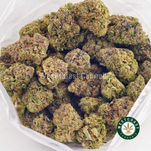 Buy weed online Gorilla Bomb strain from the best online dispensary in Canada. mail order marijuana canada. order weed canada. buy edibles online canada.