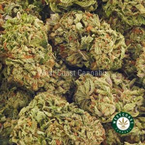 Buy Cannabis Blueberry Breath at Wccannabis Online Shop