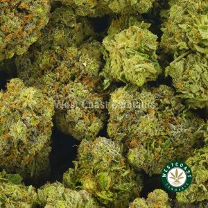 Buy Cannabis Shishkaberry at Wccannabis Online Shop