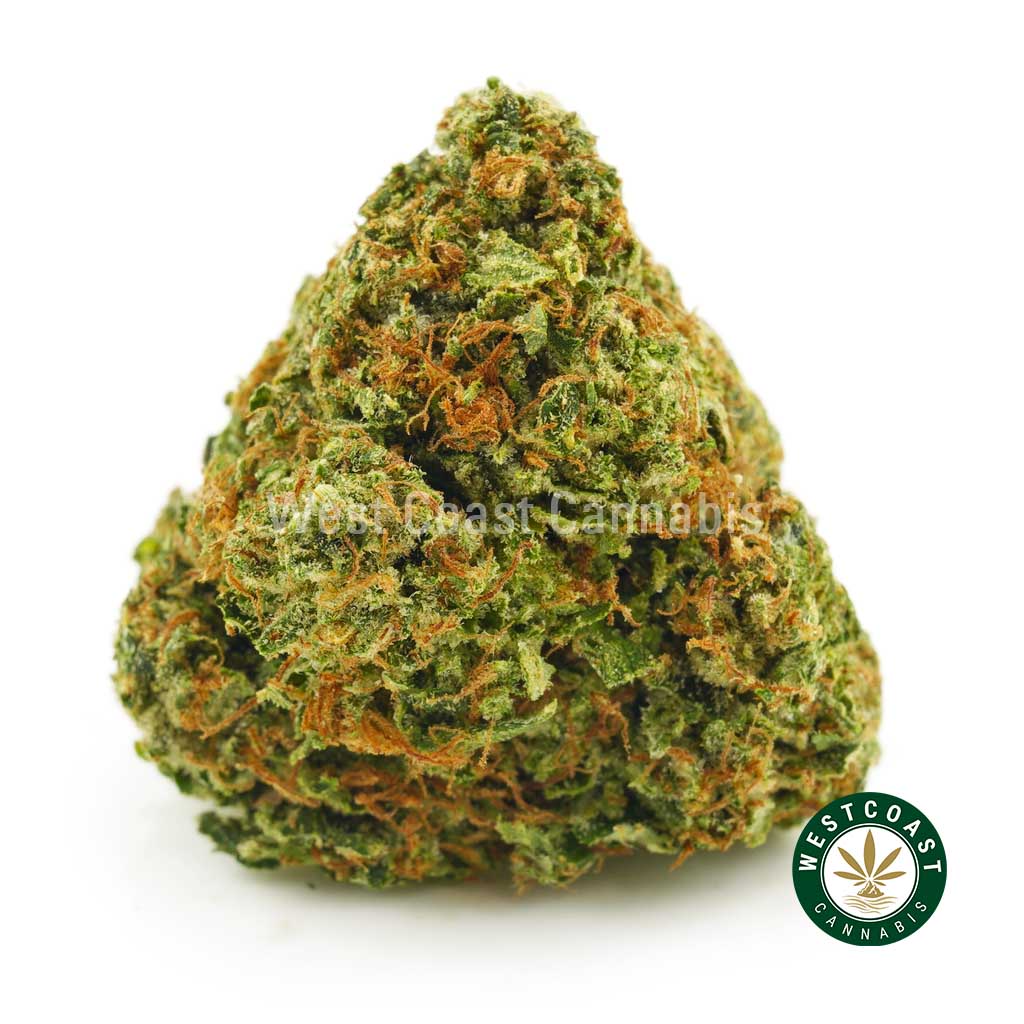 product image for Death Bubba pot for sale online in canada from west coast cannabis. Best online dispensary in canada for mail order marijuana.