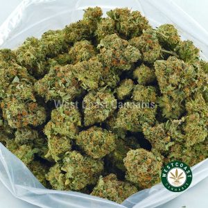 bag of Death Bubba weed for sale from west coast cannabis best online dispensary in canada. Order gods green crack pot and black tuna strain online. Buy sensi star strain, blue meanie weed, and god bud pot at wccannabis.