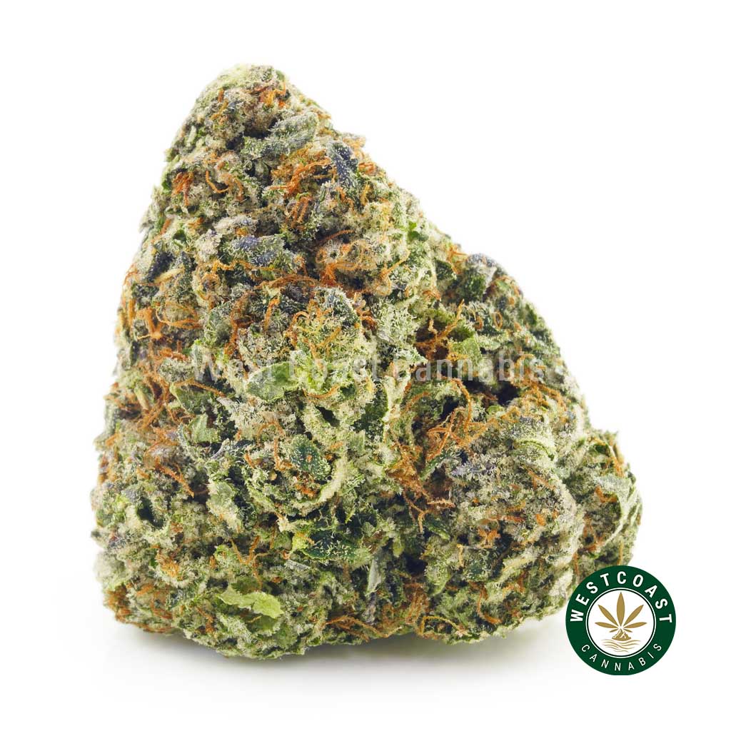 Order weed online Pink Unicorn strain from the best online dispensary canada. buy weed online. buy vapes online canada. top weed site.