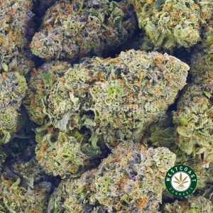 Buy Pink Unicorn strain weed online from west coast cannabis mail order weed shop online. buy weed. weed online. buy edibles canada. order weed online canada.
