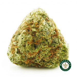 Buy Cannabis Pina Colada at Wccannabis Online Shop