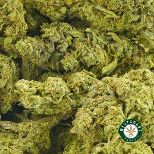 Buy Cannabis Citradelic Sunset at Wccannabis Online Shop
