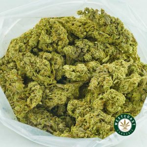 Buy Cannabis Citradelic Sunset at Wccannabis Online Shop