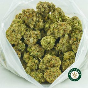 Buy Cannabis Pink Astroboy at Wccannabis Online Shop